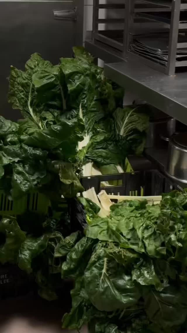 Comment on choisit nos produits ?
On vous explique pourquoi on se tourne vers des producteurs locaux dans cette vidéo : avant tout pour vous proposer des plats de qualité.

#cuisineniçoise #nicefood #traditionnel #faitmaison #nice06