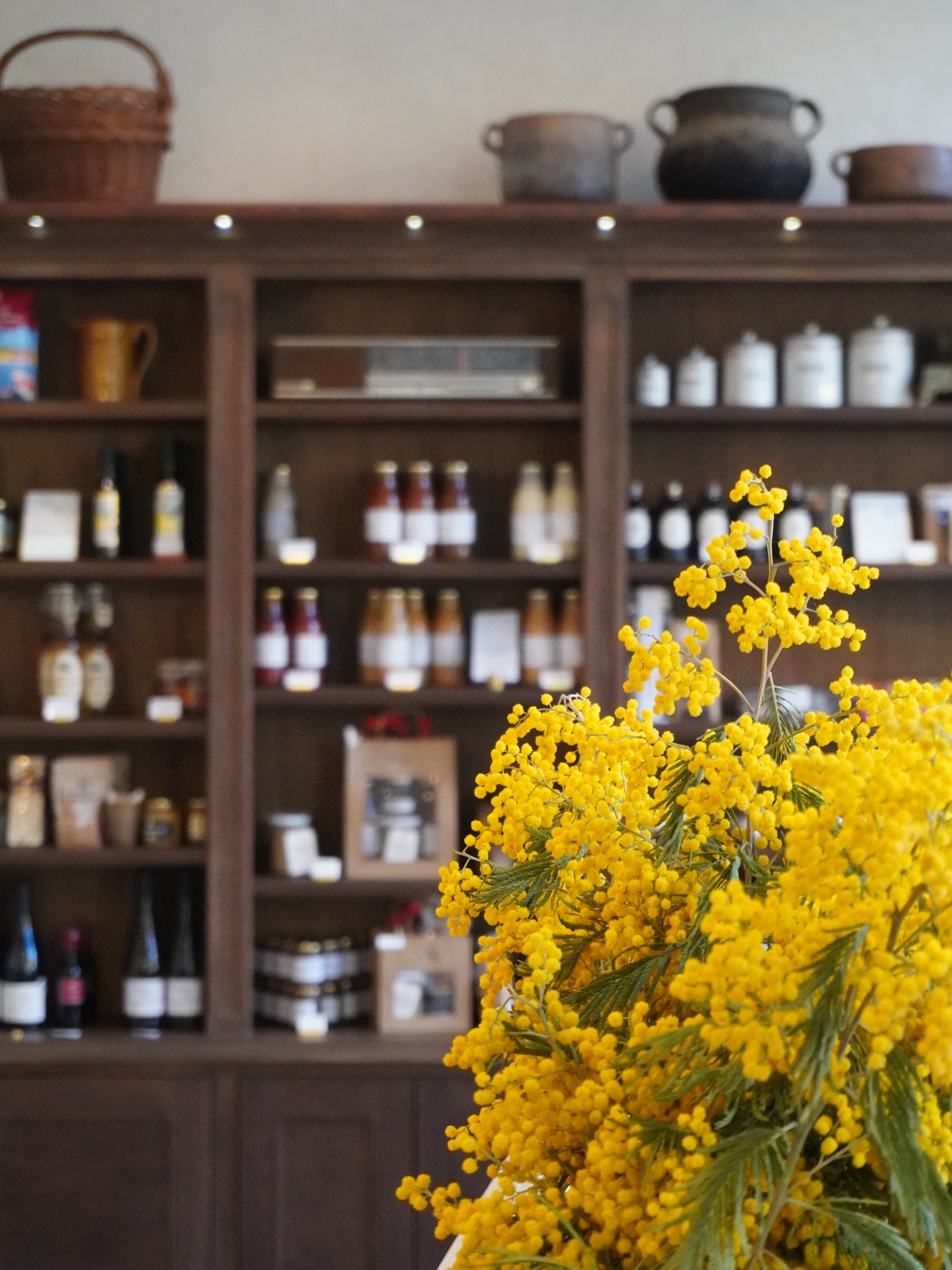 Le mimosa annonce le soleil, même quand il se fait attendre 🌞

📍1 avenue Auguste Verola, 06200 Nice St Isidore 
📞04 93 16 17 21