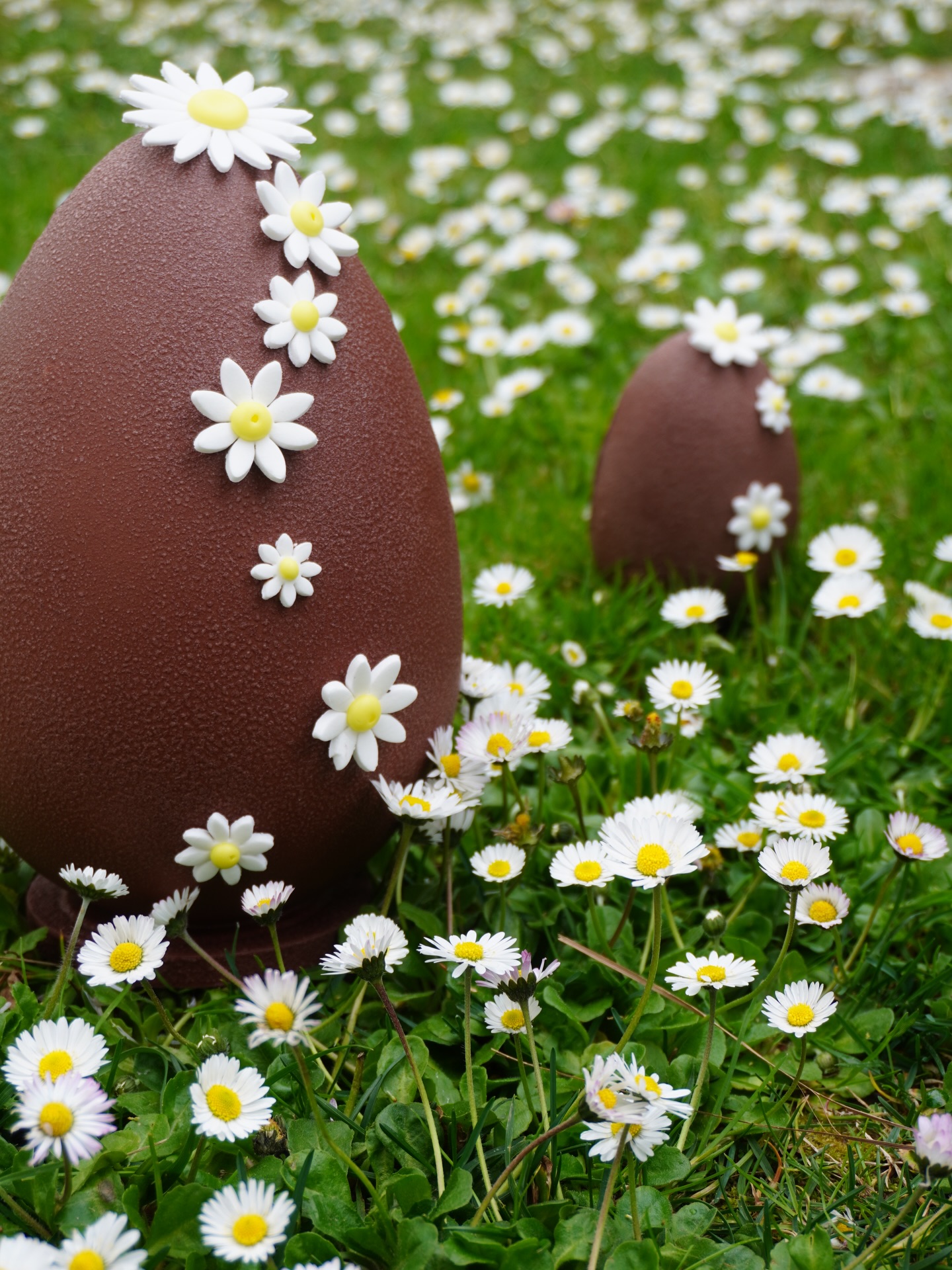 À saisir avant qu’ils ne partent en un éclair 🫳🏼✨

Nos œufs gourmands sont disponibles à la commande jusqu’à demain. Après ça, ce sera au petit bonheur la chance dans nos différents points de vente 🤭🥚

📍 Épicerie Servella — Saint-Isidore
📍 Âme-Sœur Pâtisserie — Saint-Martin-du-Var
📍 Restaurant Servella — Castagniers

Œufs fourrés au praliné ou au caramel, chocolat au lait ou noir, en petit ou grand format… il y en a pour tous les gourmands 🤎